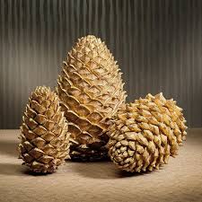 Set of 2 Sage Green LED Pinecones w/Timers