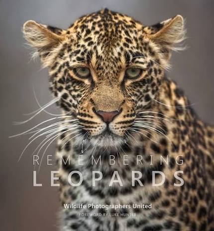 REMEMBERING LEOPARDS