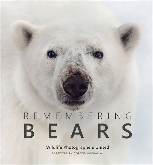 REMEMBERING BEARS