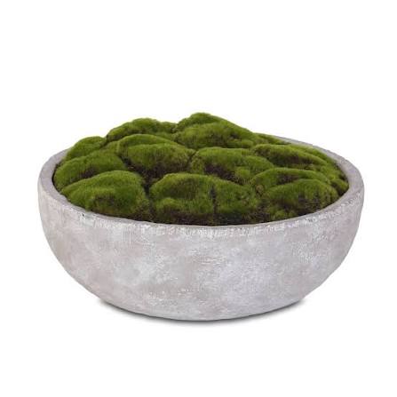 5.25" MOSS IN CERAMIC ROUND PL