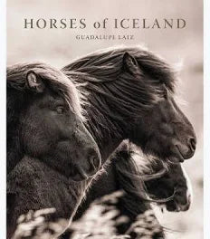 HORSES OF ICELAND