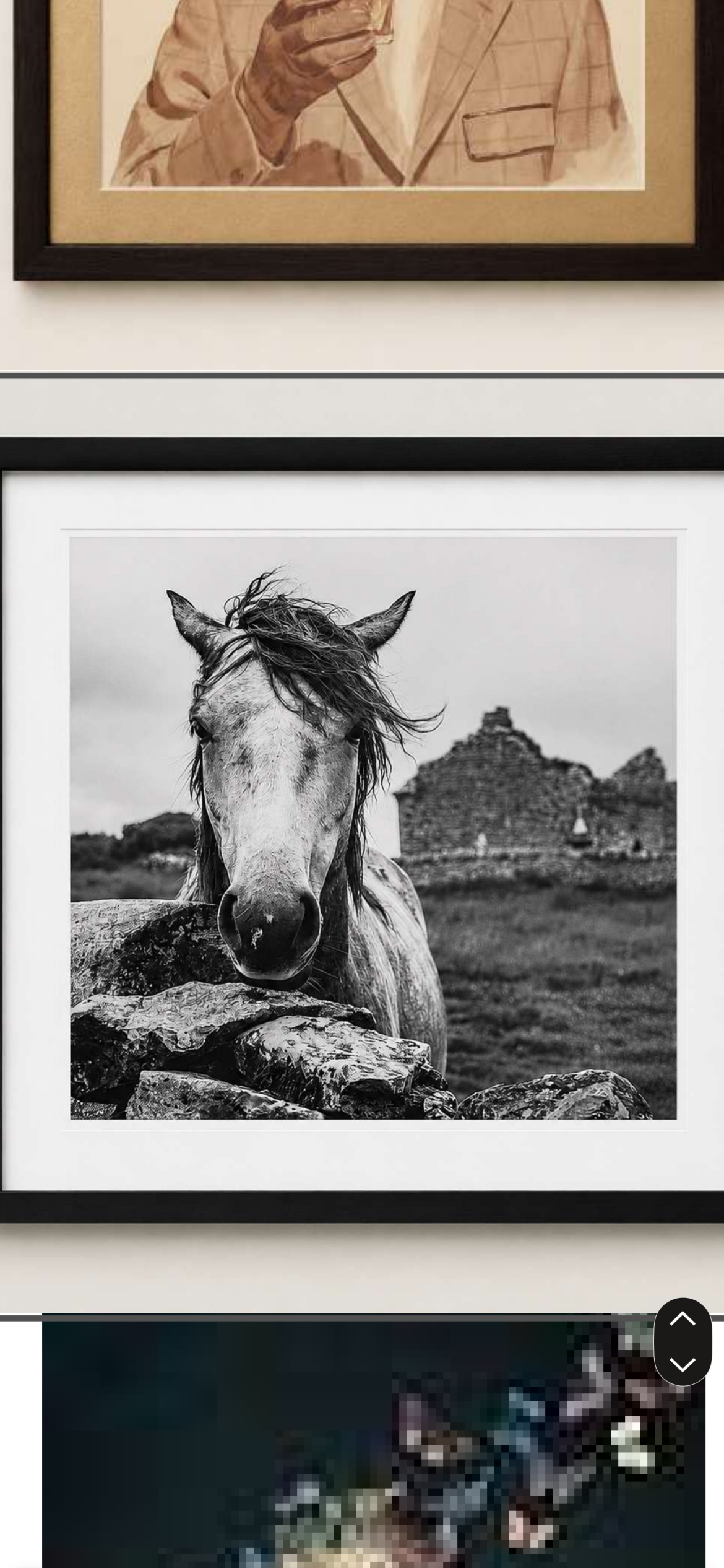 Stone and Mane by David Ward