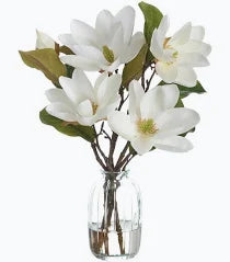 13" MAGNOLIAS IN GLASS VASE