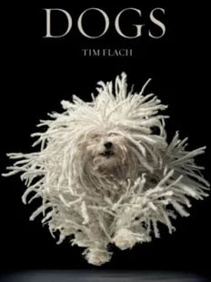 Dogs