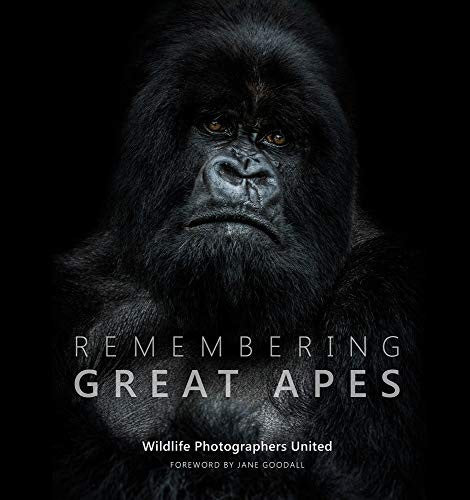REMEMBERING GREAT APES